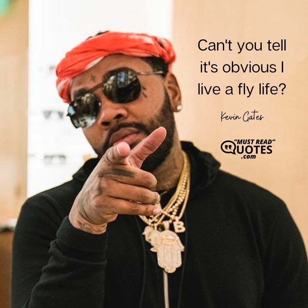 Can't you tell it's obvious I live a fly life?