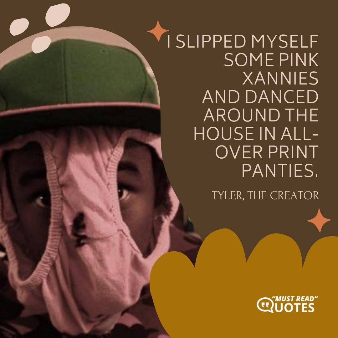 I slipped myself some pink Xannies And danced around the house in all-over print panties.