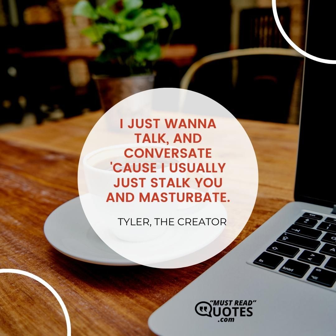 I just wanna talk, and conversate 'cause I usually just stalk you and masturbate.