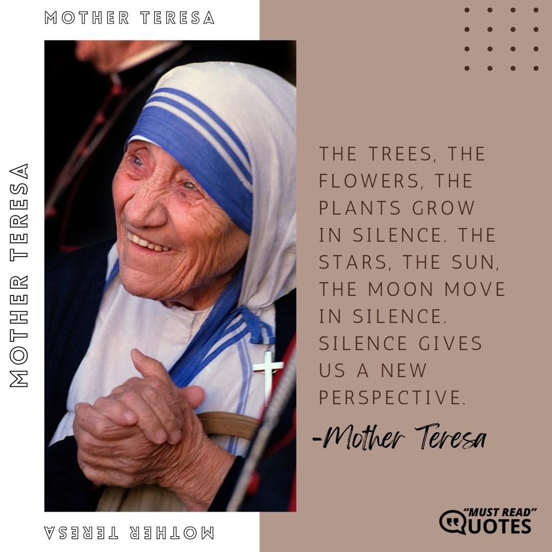 The trees, the flowers, the plants grow in silence. The stars, the sun, the moon move in silence. Silence gives us a new perspective.