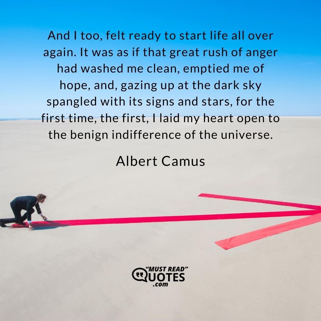 And I too, felt ready to start life all over again. It was as if that great rush of anger had washed me clean, emptied me of hope, and, gazing up at the dark sky spangled with its signs and stars, for the first time, the first, I laid my heart open to the benign indifference of the universe.