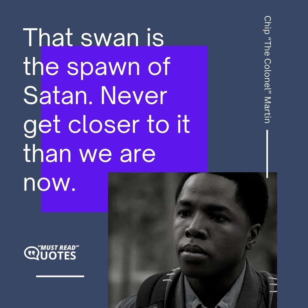 That swan is the spawn of Satan. Never get closer to it than we are now.