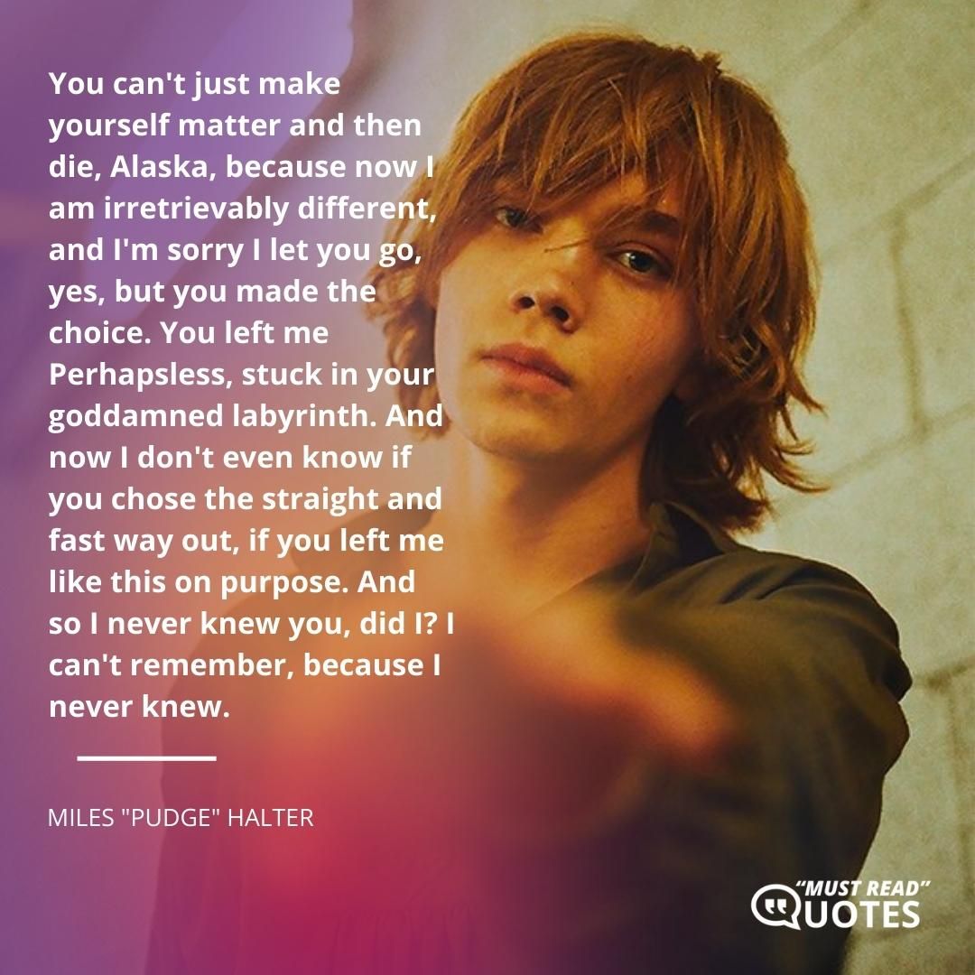 You can't just make yourself matter and then die, Alaska, because now I am irretrievably different, and I'm sorry I let you go, yes, but you made the choice. You left me Perhapsless, stuck in your goddamned labyrinth. And now I don't even know if you chose the straight and fast way out, if you left me like this on purpose. And so I never knew you, did I? I can't remember, because I never knew.