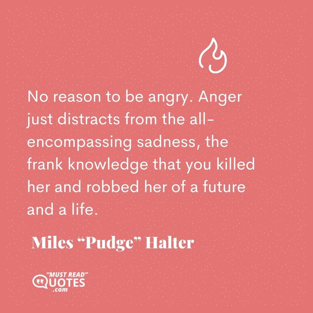 No reason to be angry. Anger just distracts from the all-encompassing sadness, the frank knowledge that you killed her and robbed her of a future and a life.