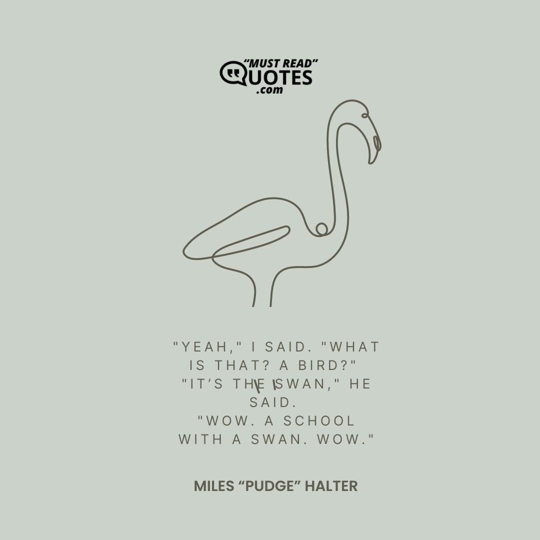 "Yeah," I said. "What is that? A bird?" "It’s the swan," he said. "Wow. A school with a swan. Wow."