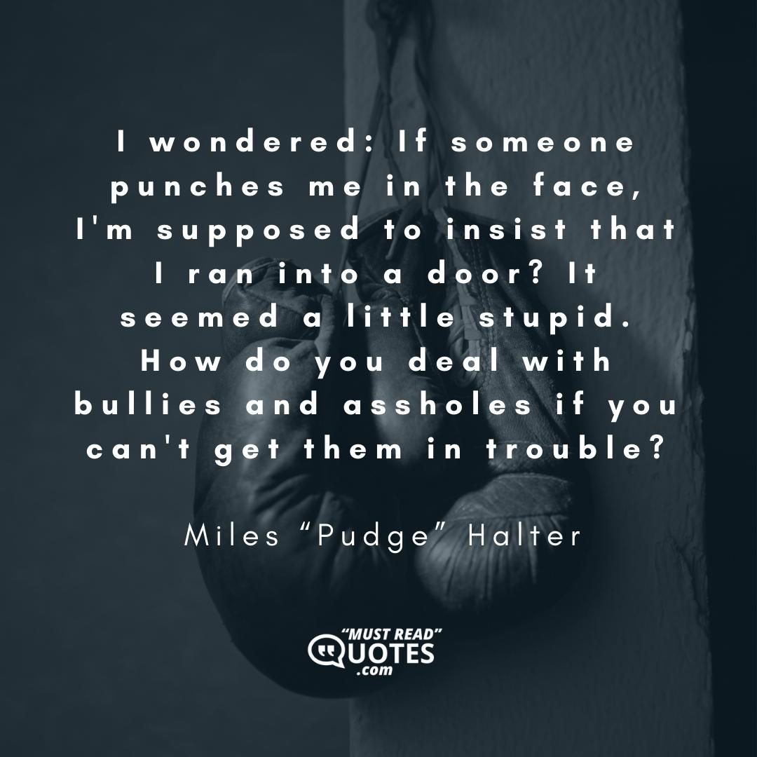 I wondered: If someone punches me in the face, I'm supposed to insist that I ran into a door? It seemed a little stupid. How do you deal with bullies and assholes if you can't get them in trouble?