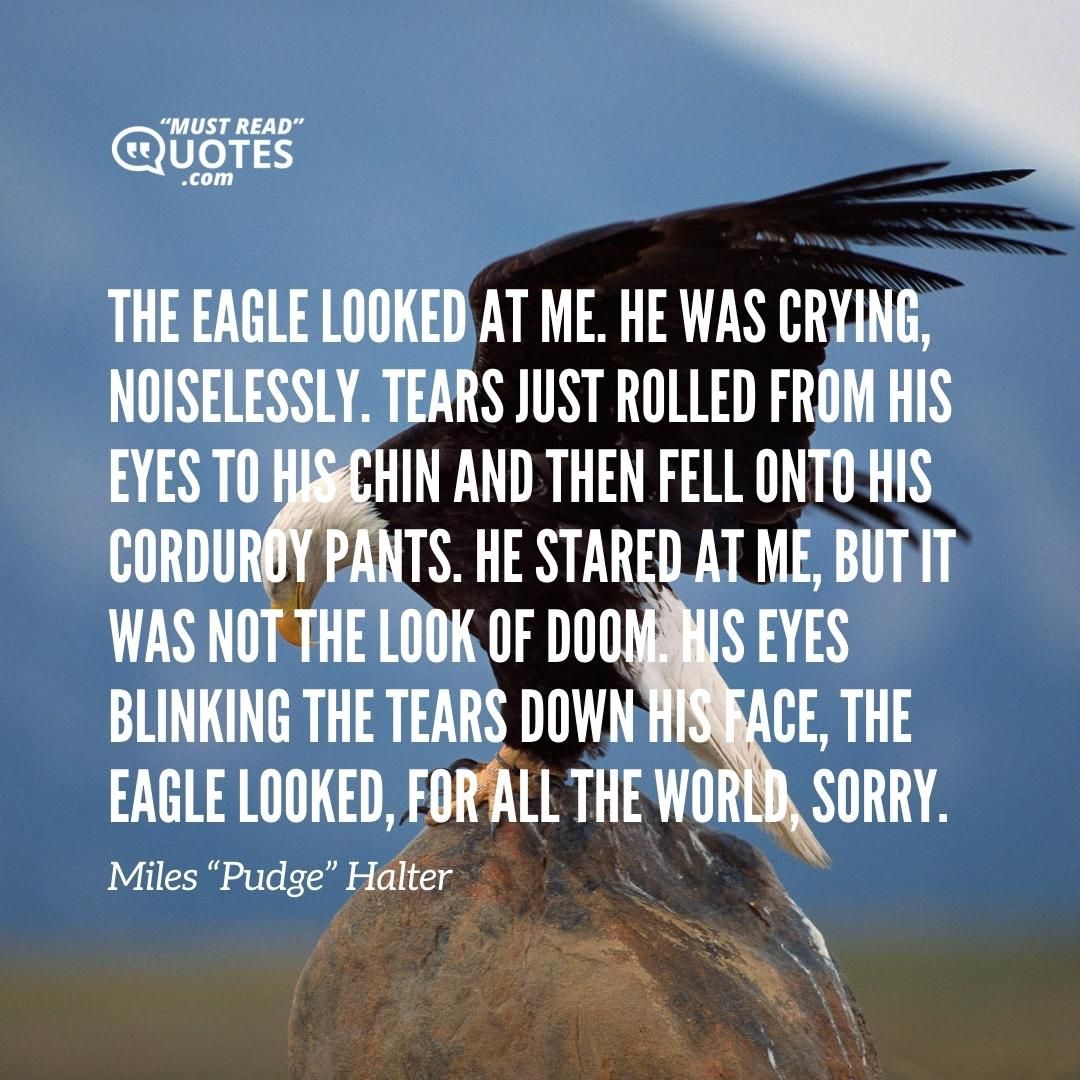 The Eagle looked at me. He was crying, noiselessly. Tears just rolled from his eyes to his chin and then fell onto his corduroy pants. He stared at me, but it was not the Look of Doom. His eyes blinking the tears down his face, the Eagle looked, for all the world, sorry.
