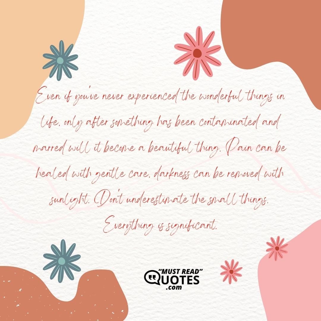 Even if you've never experienced the wonderful things in life, only after something has been contaminated and marred will it become a beautiful thing. Pain can be healed with gentle care, darkness can be removed with sunlight. Don't underestimate the small things. Everything is significant.