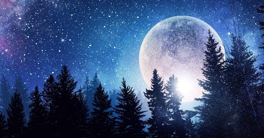 Good Night