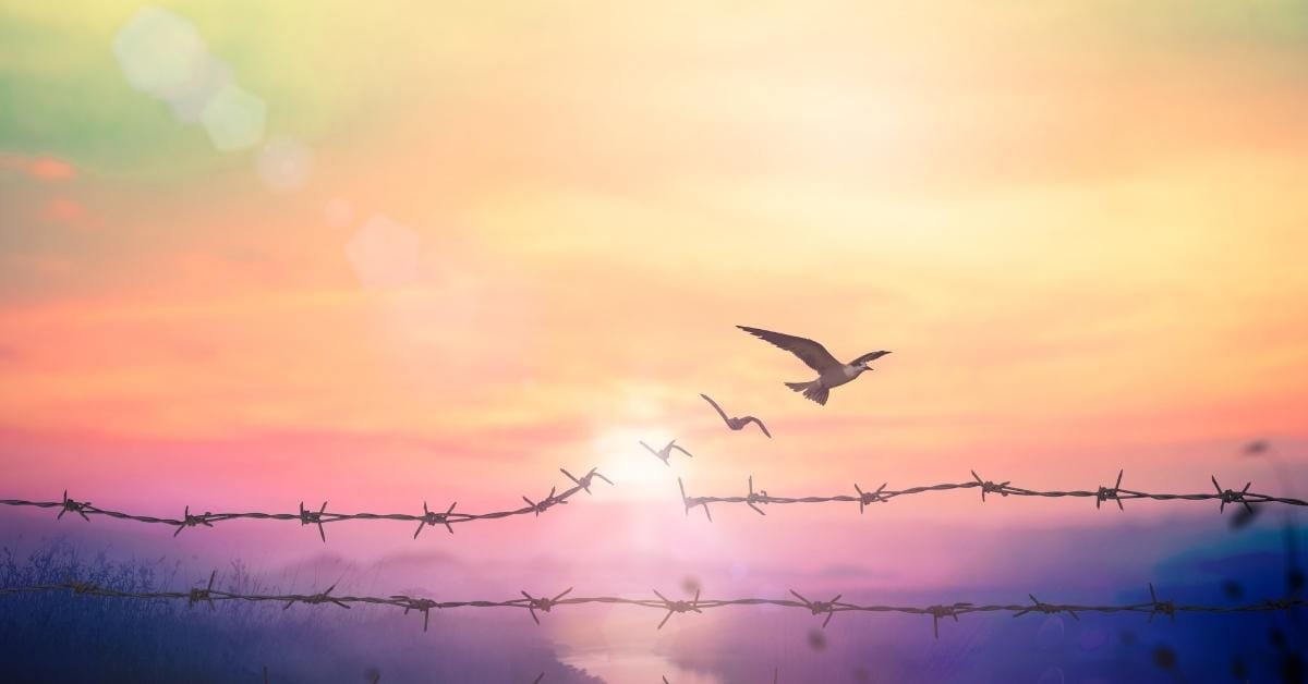 Freedom