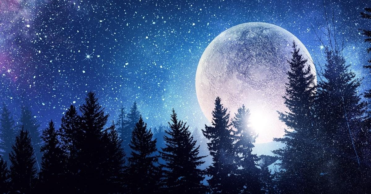 Good Night