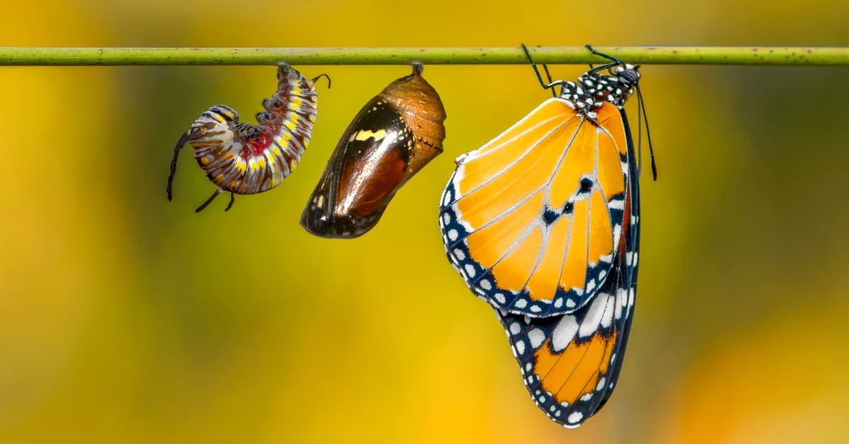 Growth, Aging & Maturity Quotes