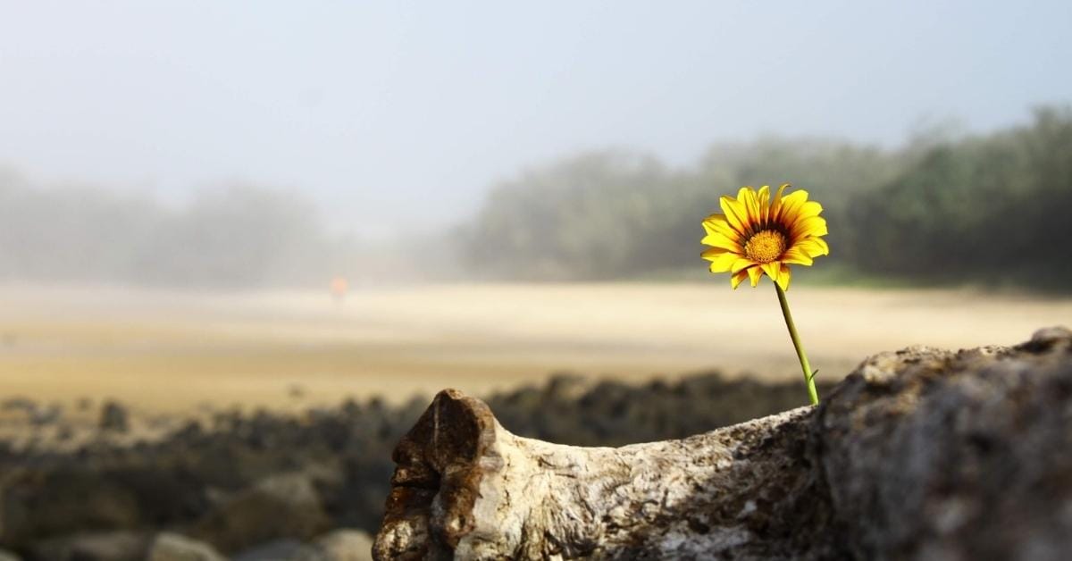 Hope