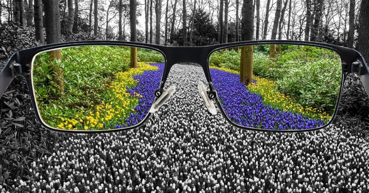 Perception