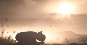 God's Plan