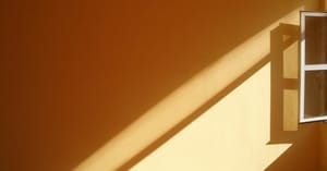 Light