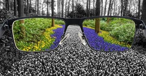 Perception