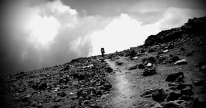Perseverance