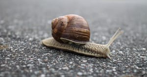 Slow