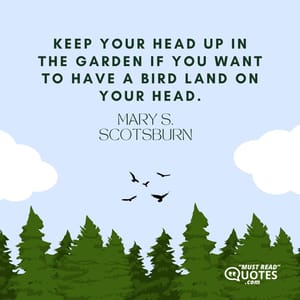 Keep your head up in the garden if you want to have a bird land on your head.