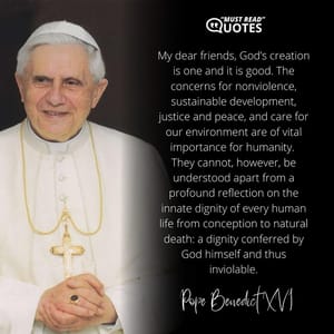 My dear friends, God’s creation is one and it is good. The concerns for nonviolence, sustainable development, justice and peace, and care for our environment are of vital importance for humanity. They cannot, however, be understood apart from a profound reflection on the innate dignity of every human life from conception to natural death: a dignity conferred by God himself and thus inviolable.
