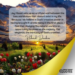 [Jay] Gould sets up an artificial wall between the two worldviews that doesn't exist in my life. Because I do believe in God's creative power in having brought it all into being in the first place, I find that studying the natural world is an opportunity to observe the majesty, the elegance, the intricacy of God's creation.
