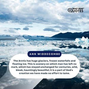 The Arctic has huge glaciers, frozen waterfalls and floating ice. This is scenery on which man has left no mark, which has stayed unchanged for centuries, wild, bleak, hauntingly beautiful; it is a part of God's creation we have made no effort to tame.