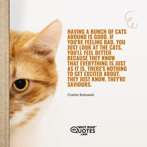 Having a bunch of cats around is good. If you're feeling bad, you just look at the cats, you'll feel better because they know that everything is just as it is. There's nothing to get excited about. They just know. They're saviours.