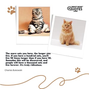 The more cats you have, the longer you live. If you have a hundred cats, you'll live 10 times longer than if you have 10. Someday this will be discovered, and people will have a thousand cats and live forever. It's truly ridiculous.