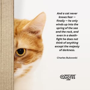 And a cat never knows fear — finally — he only winds up into the spring of the sea and the rock, and even in a death-fight he does not think of anything except the majesty of darkness.