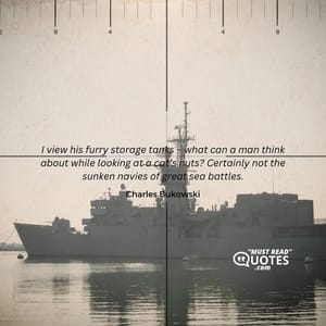 I view his furry storage tanks – what can a man think about while looking at a cat’s nuts? Certainly not the sunken navies of great sea battles.