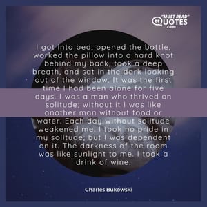 I got into bed, opened the bottle, worked the pillow into a hard knot behind my back, took a deep breath, and sat in the dark looking out of the window. It was the first time I had been alone for five days. I was a man who thrived on solitude; without it I was like another man without food or water. Each day without solitude weakened me. I took no pride in my solitude; but I was dependent on it. The darkness of the room was like sunlight to me. I took a drink of wine.