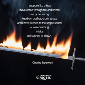 I suppose like others I have come through fire and sword, love gone wrong, head-on crashes, drunk at sea, and I have listened to the simple sound of water running in tubs and wished to drown.