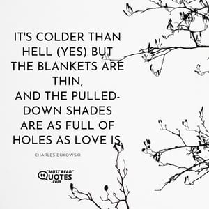 it's colder than hell (yes) but the blankets are thin, and the pulled-down shades are as full of holes as love is.