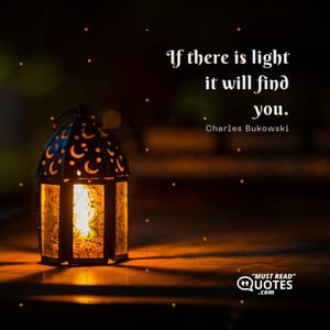 if there is light it will find you.