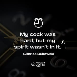 My cock was hard, but my spirit wasn't in it.
