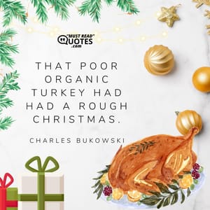 That poor organic turkey had had a rough Christmas.