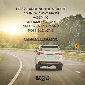 I drive around the streets an inch away from weeping, ashamed of my sentimentality and possible love.