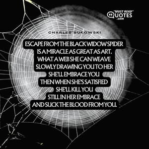 escape from the black widow spider is a miracle as great as art. what a web she can weave slowly drawing you to her she'll embrace you then when she's satisfied she'll kill you still in her embrace and suck the blood from you.
