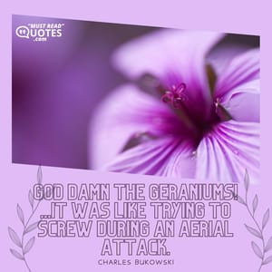 God damn the geraniums! ...It was like trying to screw during an aerial attack.
