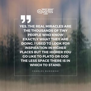 Yes, the real miracles are the thousands of tiny people who know exactly what they are doing. I used to look for inspiration in higher places but the higher you go like to Plato or God the less space there is in which to stand.