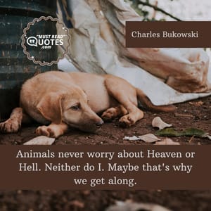 Animals never worry about Heaven or Hell. Neither do I. Maybe that's why we get along.