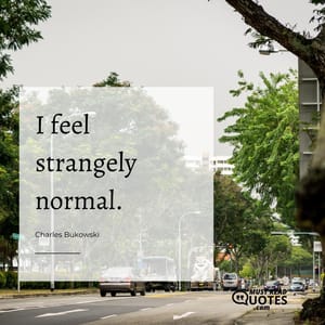 I feel strangely normal.