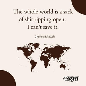 The whole world is a sack of shit ripping open. I can't save it.
