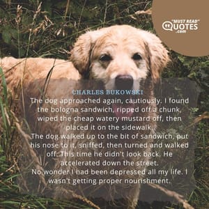 The dog approached again, cautiously. I found the bologna sandwich, ripped off a chunk, wiped the cheap watery mustard off, then placed it on the sidewalk. The dog walked up to the bit of sandwich, put his nose to it, sniffed, then turned and walked off. This time he didn't look back. He accelerated down the street. No wonder I had been depressed all my life. I wasn't getting proper nourishment.