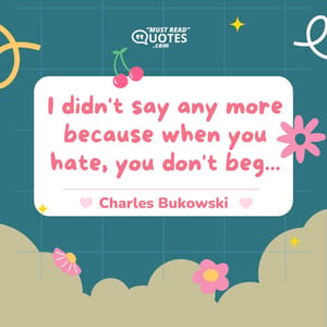 I didn't say any more because when you hate, you don't beg...