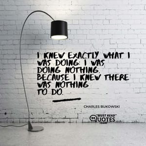 I knew exactly what I was doing: I was doing nothing. because I knew there was nothing to do.