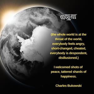 (the whole world is at the throat of the world, everybody feels angry, short-changed, cheated, everybody is despondent, disillusioned.) I welcomed shots of peace, tattered shards of happiness.