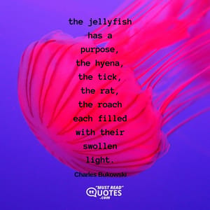 the jellyfish has a purpose, the hyena, the tick, the rat, the roach each filled with their swollen light. my light is out. who did this to me?