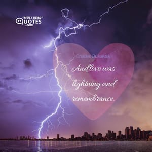And love was lightning and remembrance.
